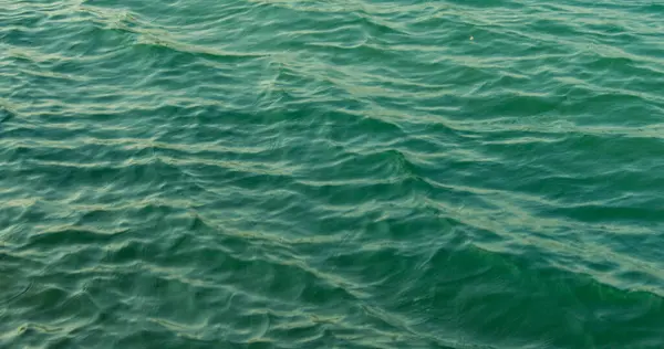 stock image Texture of waves on a windy day on a lake