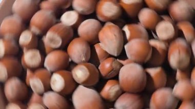 Olgunlaşmamış fındık kabuklarına yakın çekim