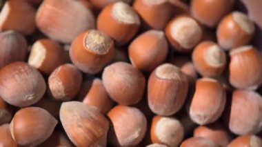 Olgunlaşmamış fındık kabuklarına yakın çekim