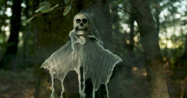 Ormandaki Cadılar Bayramı karakteri