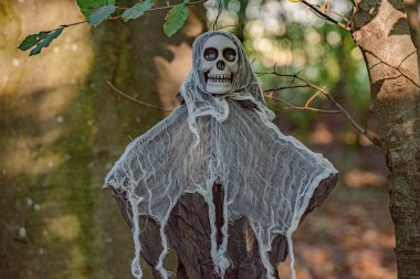 Ormandaki Cadılar Bayramı karakteri