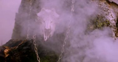 Hayvani kafatası, ağacın yanında, dumanın içinde.