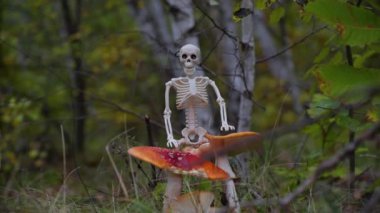 Sonbahar ormanlarında Cadılar Bayramı karakteri