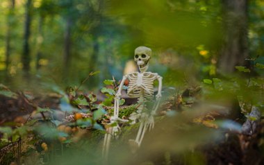 Sonbahar ormanlarında Cadılar Bayramı karakteri