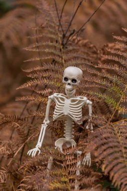 Sonbahar ormanlarında Cadılar Bayramı karakteri