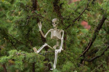 Sonbahar ormanlarında Cadılar Bayramı karakteri