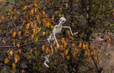 Sonbahar ormanlarında Cadılar Bayramı karakteri