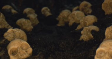 Cadılar Bayramı atmosferinde kafatasları toprağa gömülü