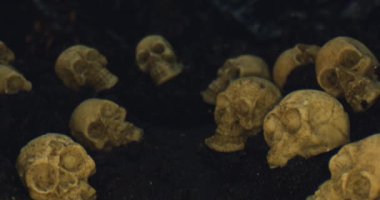 Cadılar Bayramı atmosferinde kafatasları toprağa gömülü