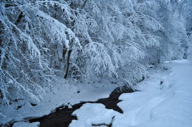 Karpat Dağları 'ndaki kış manzarası