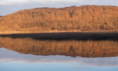 Bir kış akşamında vahşi bir göl manzarası