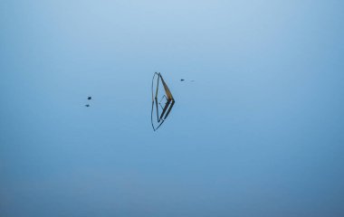 Suyun içinde sazlık saplı gölgelerin gösterişli yansımaları.