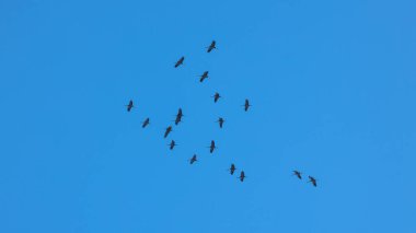 Mavi gökyüzündeki turnaların anahtarı