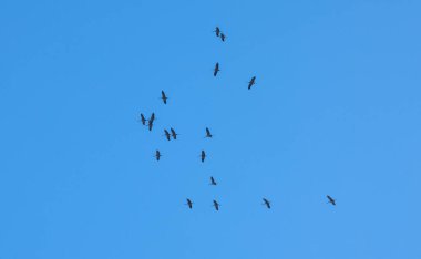 Mavi gökyüzündeki turnaların anahtarı