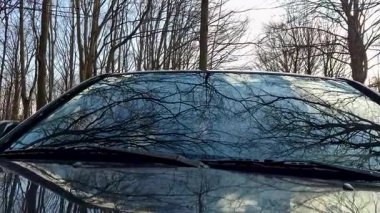 Dağ bahar ormanında bir SUV.