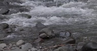 Dağlık bir bahar ormanında kaynayan bir dere.