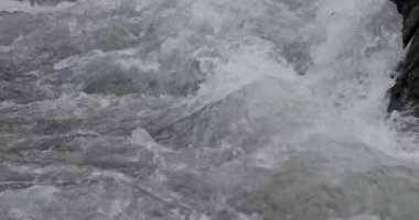 Dağlık bir bahar ormanında kaynayan bir dere.