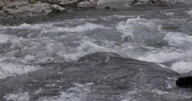 Dağlık bir bahar ormanında kaynayan bir dere.