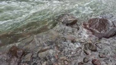 Dağlık bir bahar ormanında kaynayan bir dere.