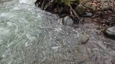 Dağlık bir bahar ormanında kaynayan bir dere.