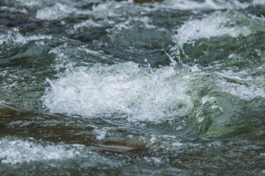 Dağlık bir bahar ormanında kaynayan bir dere.