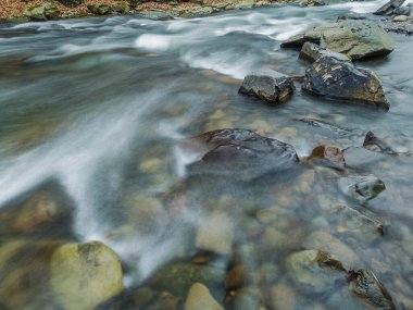 Dağlık bir bahar ormanında kaynayan bir dere.