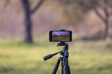 Smartphone eski bir bahçede video çekiyor