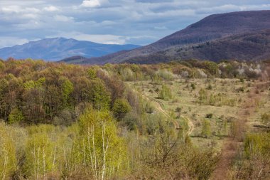 Karpat Dağlık Bölgesi 'nin bahar manzarası