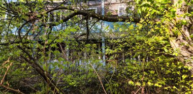 Dağlık bir ormanda terk edilmiş bir bina.