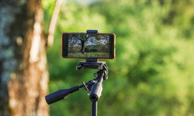 Smartphone eski bir bahçede video çekiyor