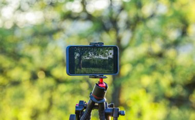 Smartphone eski bir bahçede video çekiyor