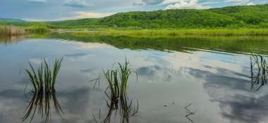 Dağlık arazide bir bahar gölü manzarası