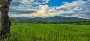 Baharda dağlık arazide kocaman bir kiraz ağacı olan manzara.