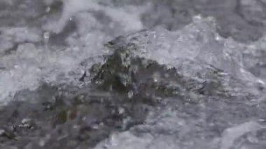 Dağlık bir bahar ormanında kaynayan bir dere.