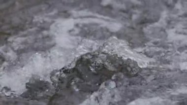 Dağlık bir bahar ormanında kaynayan bir dere.