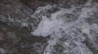 Dağlık bir bahar ormanında kaynayan bir dere.