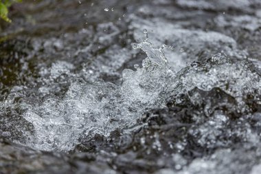 Dağlık bir bahar ormanında kaynayan bir dere.
