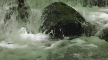 Bahar ormanında fırtınalı bir şelale.