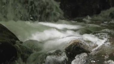 Bahar ormanında fırtınalı bir şelale.