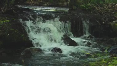 Bahar ormanında fırtınalı bir şelale.