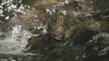 Ormanda akan bir dağ deresi