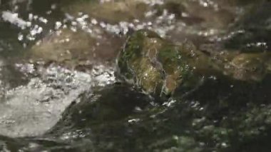 Ormanda akan bir dağ deresi