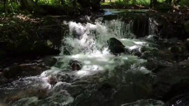 Bahar ormanında fırtınalı bir şelale.