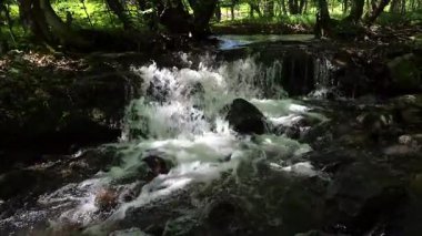 Bahar ormanında fırtınalı bir şelale.