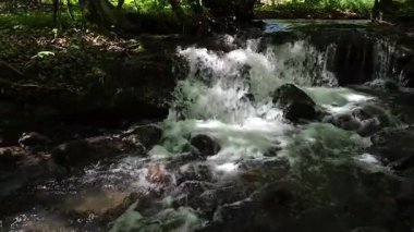 Bahar ormanında fırtınalı bir şelale.