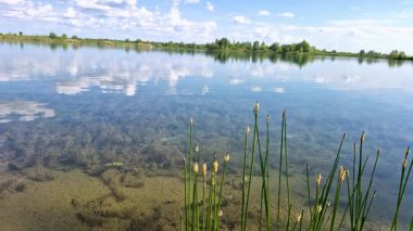 Dağlık arazide bir bahar gölü manzarası