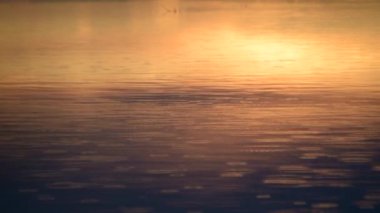 Yazın gün batımında fırtınadan önceki bir göl manzarası.