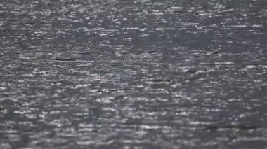 Gökyüzü yansıması ve günbatımı renkleriyle desenli göl dalgaları