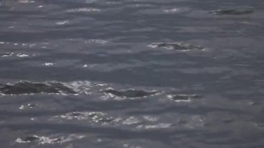 Gökyüzü yansıması ve günbatımı renkleriyle desenli göl dalgaları