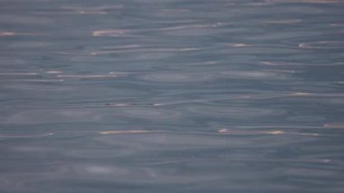 Gökyüzü yansıması ve günbatımı renkleriyle desenli göl dalgaları